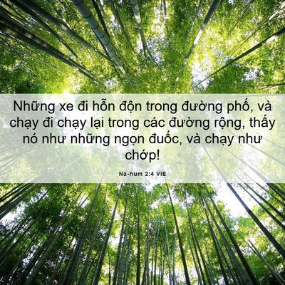 Picture 06 - Na-hum 2:4 VIE - Những xe đi hỗn độn trong đường - Bible Verse Picture