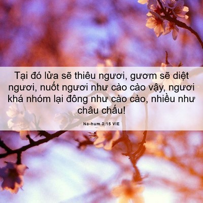 Picture 06 - Na-hum 3:15 VIE - Tại đó lửa sẽ thiêu ngươi, gươm sẽ - Bible Verse Picture