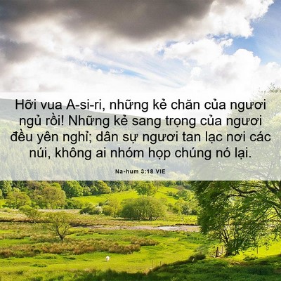 Picture 06 - Na-hum 3:18 VIE - Hỡi vua A-si-ri, những kẻ chăn của - Bible Verse Picture