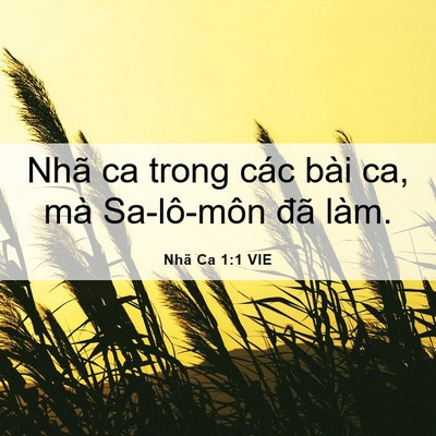 Picture 06 - Nhã Ca 1:1 VIE - Nhã ca trong các bài ca, mà Sa-lô-môn đã - Bible Verse Picture