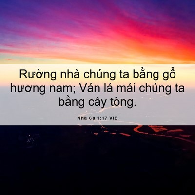 Picture 06 - Nhã Ca 1:17 VIE - Rường nhà chúng ta bằng gổ hương nam; - Bible Verse Picture