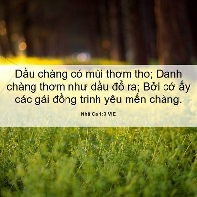 Picture 06 - Nhã Ca 1:3 VIE - Dầu chàng có mùi thơm tho; Danh chàng - Bible Verse Picture