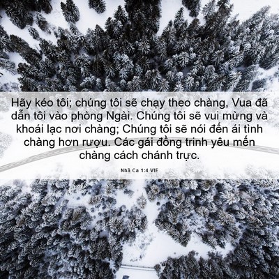 Picture 06 - Nhã Ca 1:4 VIE - Hãy kéo tôi; chúng tôi sẽ chạy theo - Bible Verse Picture