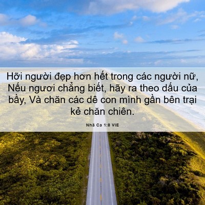 Picture 06 - Nhã Ca 1:8 VIE - Hỡi người đẹp hơn hết trong các - Bible Verse Picture