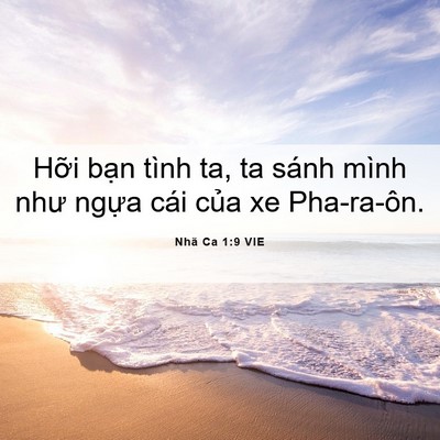 Picture 06 - Nhã Ca 1:9 VIE - Hỡi bạn tình ta, ta sánh mình như ngựa - Bible Verse Picture