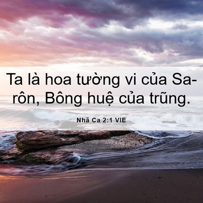 Picture 06 - Nhã Ca 2:1 VIE - Ta là hoa tường vi của Sa-rôn, Bông huệ - Bible Verse Picture