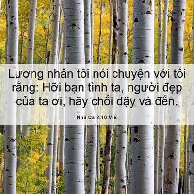 Picture 06 - Nhã Ca 2:10 VIE - Lương nhân tôi nói chuyện với tôi - Bible Verse Picture