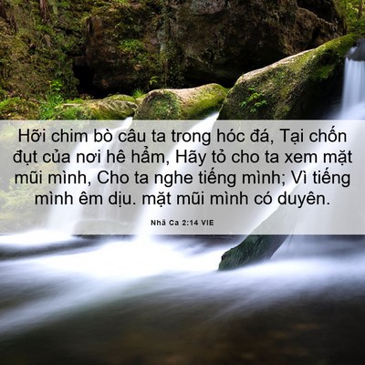 Picture 06 - Nhã Ca 2:14 VIE - Hỡi chim bò câu ta trong hóc đá, Tại - Bible Verse Picture