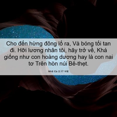 Picture 06 - Nhã Ca 2:17 VIE - Cho đến hừng đông lố ra, Và bóng tối - Bible Verse Picture