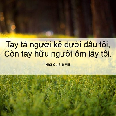 Picture 06 - Nhã Ca 2:6 VIE - Tay tả người kê dưới đầu tôi, Còn - Bible Verse Picture