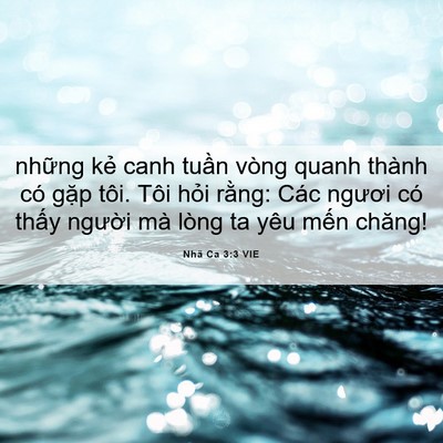 Picture 06 - Nhã Ca 3:3 VIE - những kẻ canh tuần vòng quanh thành có - Bible Verse Picture