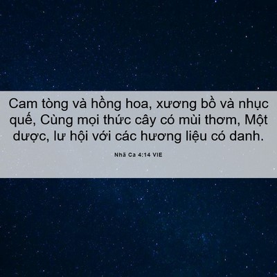 Picture 06 - Nhã Ca 4:14 VIE - Cam tòng và hồng hoa, xương bồ và nhục - Bible Verse Picture