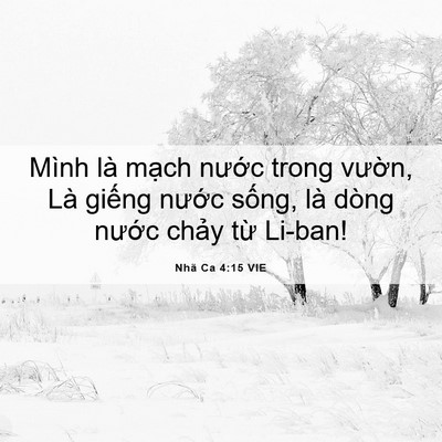 Picture 06 - Nhã Ca 4:15 VIE - Mình là mạch nước trong vườn, Là - Bible Verse Picture