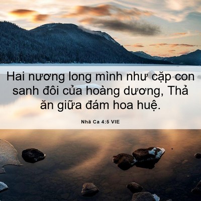 Picture 06 - Nhã Ca 4:5 VIE - Hai nương long mình như cặp con sanh đôi - Bible Verse Picture