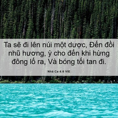 Picture 06 - Nhã Ca 4:6 VIE - Ta sẽ đi lên núi một dược, Đến - Bible Verse Picture