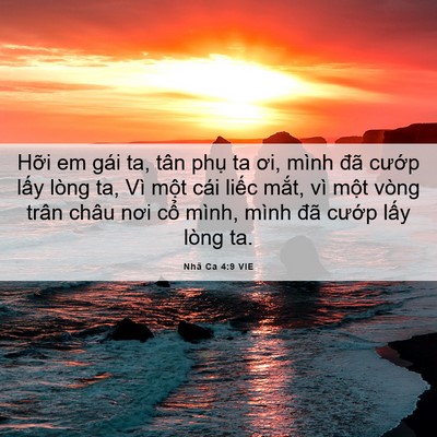 Picture 06 - Nhã Ca 4:9 VIE - Hỡi em gái ta, tân phụ ta ơi, mình đã - Bible Verse Picture