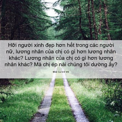 Picture 06 - Nhã Ca 5:9 VIE - Hỡi người xinh đẹp hơn hết trong các - Bible Verse Picture