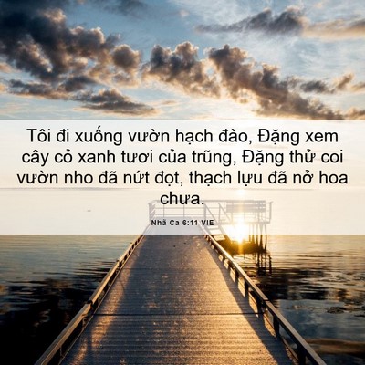 Picture 06 - Nhã Ca 6:11 VIE - Tôi đi xuống vườn hạch đào, Đặng - Bible Verse Picture