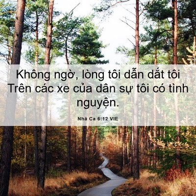 Picture 06 - Nhã Ca 6:12 VIE - Không ngờ, lòng tôi dẫn dắt tôi Trên - Bible Verse Picture