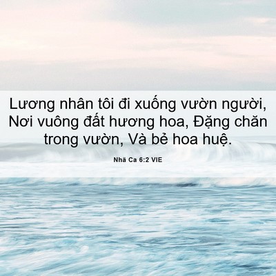 Picture 06 - Nhã Ca 6:2 VIE - Lương nhân tôi đi xuống vườn người, - Bible Verse Picture