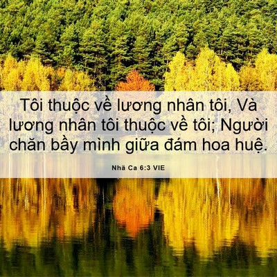 Picture 06 - Nhã Ca 6:3 VIE - Tôi thuộc về lương nhân tôi, Và lương - Bible Verse Picture