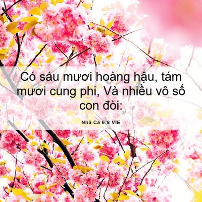 Picture 06 - Nhã Ca 6:8 VIE - Có sáu mươi hoàng hậu, tám mươi cung - Bible Verse Picture