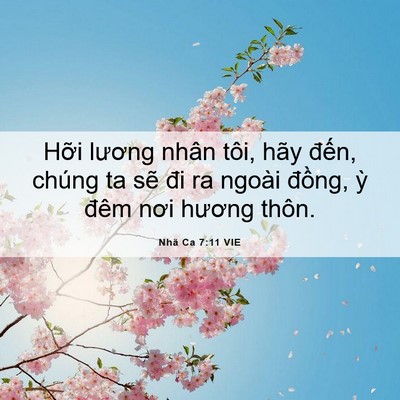 Picture 06 - Nhã Ca 7:11 VIE - Hỡi lương nhân tôi, hãy đến, chúng ta - Bible Verse Picture