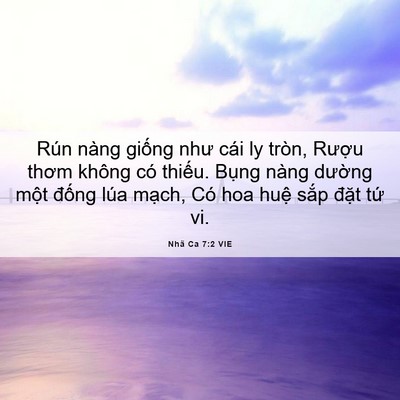 Picture 06 - Nhã Ca 7:2 VIE - Rún nàng giống như cái ly tròn, Rượu - Bible Verse Picture