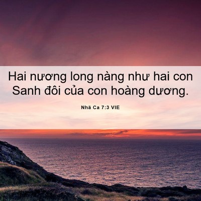 Picture 06 - Nhã Ca 7:3 VIE - Hai nương long nàng như hai con Sanh đôi - Bible Verse Picture