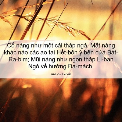 Picture 06 - Nhã Ca 7:4 VIE - Cổ nàng như một cái tháp ngà. Mắt - Bible Verse Picture