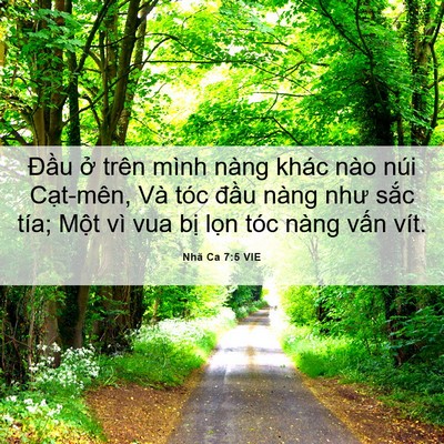 Picture 06 - Nhã Ca 7:5 VIE - Đầu ở trên mình nàng khác nào núi - Bible Verse Picture