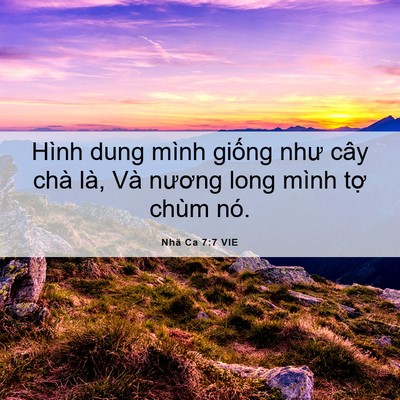 Picture 06 - Nhã Ca 7:7 VIE - Hình dung mình giống như cây chà là, Và - Bible Verse Picture