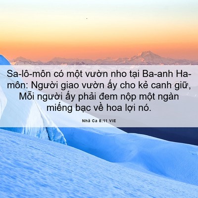 Picture 06 - Nhã Ca 8:11 VIE - Sa-lô-môn có một vườn nho tại Ba-anh - Bible Verse Picture