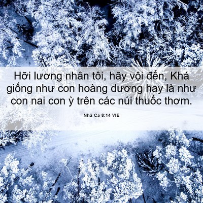 Picture 06 - Nhã Ca 8:14 VIE - Hỡi lương nhân tôi, hãy vội đến, Khá - Bible Verse Picture