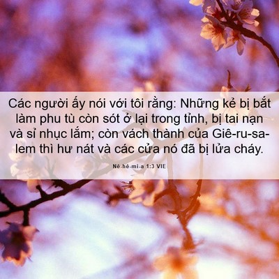 Picture 06 - Nê-hê-mi-a 1:3 VIE - Các người ấy nói với tôi rằng: - Bible Verse Picture