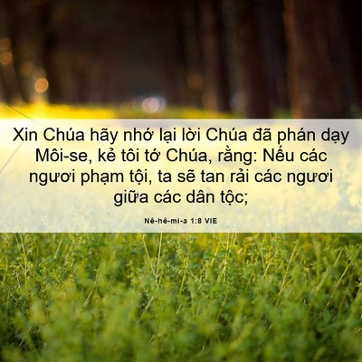 Picture 06 - Nê-hê-mi-a 1:8 VIE - Xin Chúa hãy nhớ lại lời Chúa đã phán - Bible Verse Picture