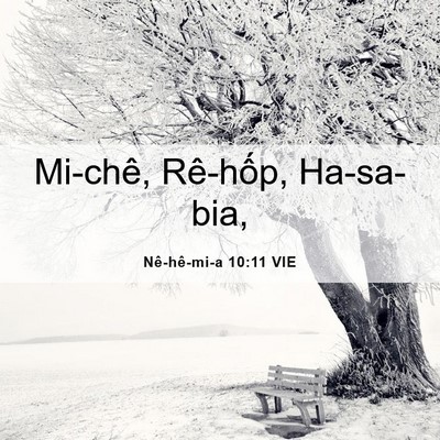 Picture 06 - Nê-hê-mi-a 10:11 VIE - Mi-chê, Rê-hốp, - Bible Verse Picture