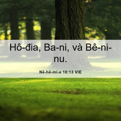 Picture 06 - Nê-hê-mi-a 10:13 VIE - Hô-đia, Ba-ni, và - Bible Verse Picture