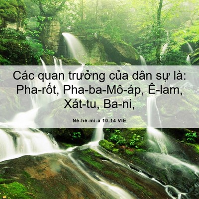 Picture 06 - Nê-hê-mi-a 10:14 VIE - Các quan trưởng của dân sự là: - Bible Verse Picture