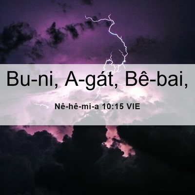 Picture 06 - Nê-hê-mi-a 10:15 VIE - Bu-ni, A-gát, - Bible Verse Picture