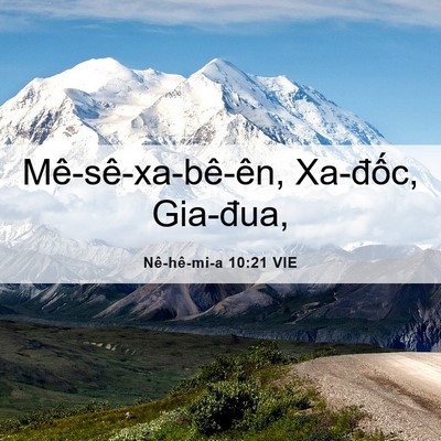 Picture 06 - Nê-hê-mi-a 10:21 VIE - Mê-sê-xa-bê-ên, Xa-đốc, - Bible Verse Picture