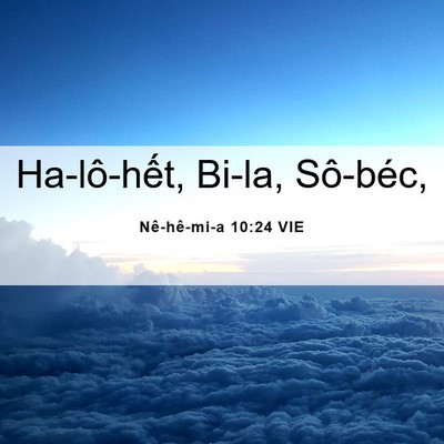 Picture 06 - Nê-hê-mi-a 10:24 VIE - Ha-lô-hết, Bi-la, - Bible Verse Picture