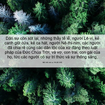 Picture 06 - Nê-hê-mi-a 10:28 VIE - Dân sự còn sót lại, những thầy tế - Bible Verse Picture