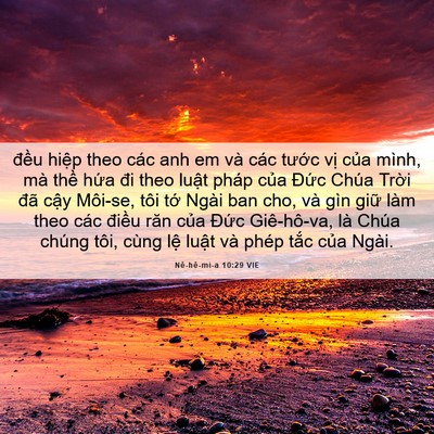 Picture 06 - Nê-hê-mi-a 10:29 VIE - đều hiệp theo các anh em và các tước - Bible Verse Picture