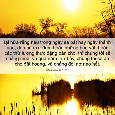 Picture 06 - Nê-hê-mi-a 10:31 VIE - lại hứa rằng nếu trong ngày sa bát hay - Bible Verse Picture