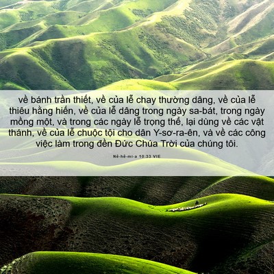 Picture 06 - Nê-hê-mi-a 10:33 VIE - về bánh trần thiết, về của lễ chay - Bible Verse Picture