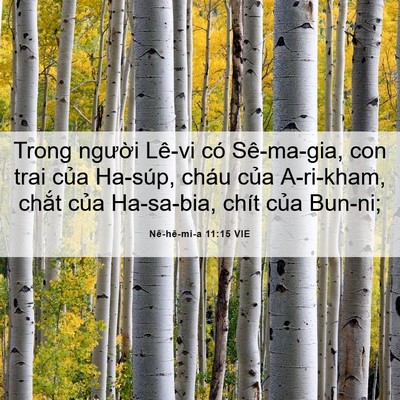 Picture 06 - Nê-hê-mi-a 11:15 VIE - Trong người Lê-vi có Sê-ma-gia, con trai - Bible Verse Picture