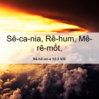 Picture 06 - Nê-hê-mi-a 12:3 VIE - Sê-ca-nia, Rê-hum, - Bible Verse Picture