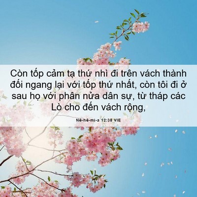 Picture 06 - Nê-hê-mi-a 12:38 VIE - Còn tốp cảm tạ thứ nhì đi trên vách - Bible Verse Picture