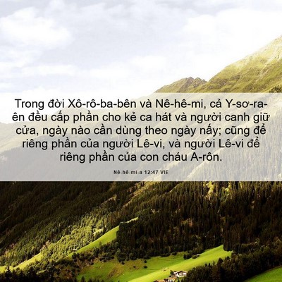 Picture 06 - Nê-hê-mi-a 12:47 VIE - Trong đời Xô-rô-ba-bên và Nê-hê-mi, cả - Bible Verse Picture